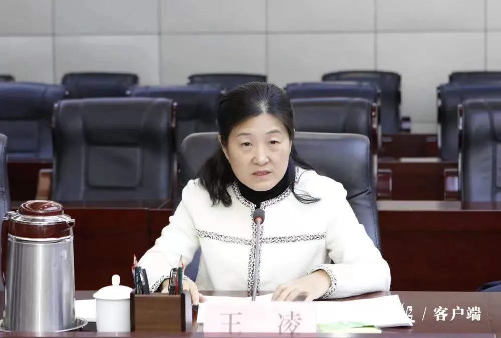 市委召开党外人士座谈会陈平主持并讲话