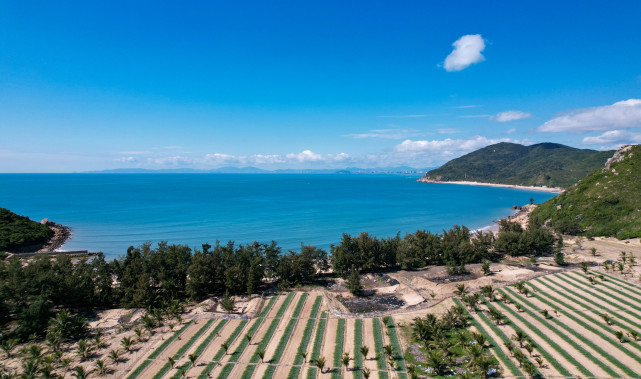 航拍海南南湾猴岛