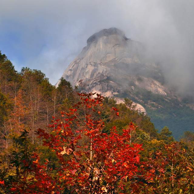 韶關新豐雲髻山紅楓林,進入最佳觀賞期,漫山紅葉等你打卡_騰訊新聞