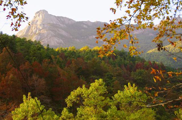 韶关新丰云髻山红枫林,进入最佳观赏期,漫山红叶等你打卡_腾讯新闻