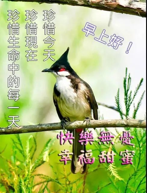 朋友圈正能量早安问候语配动态表情图片早安祝福动态图片漂亮的