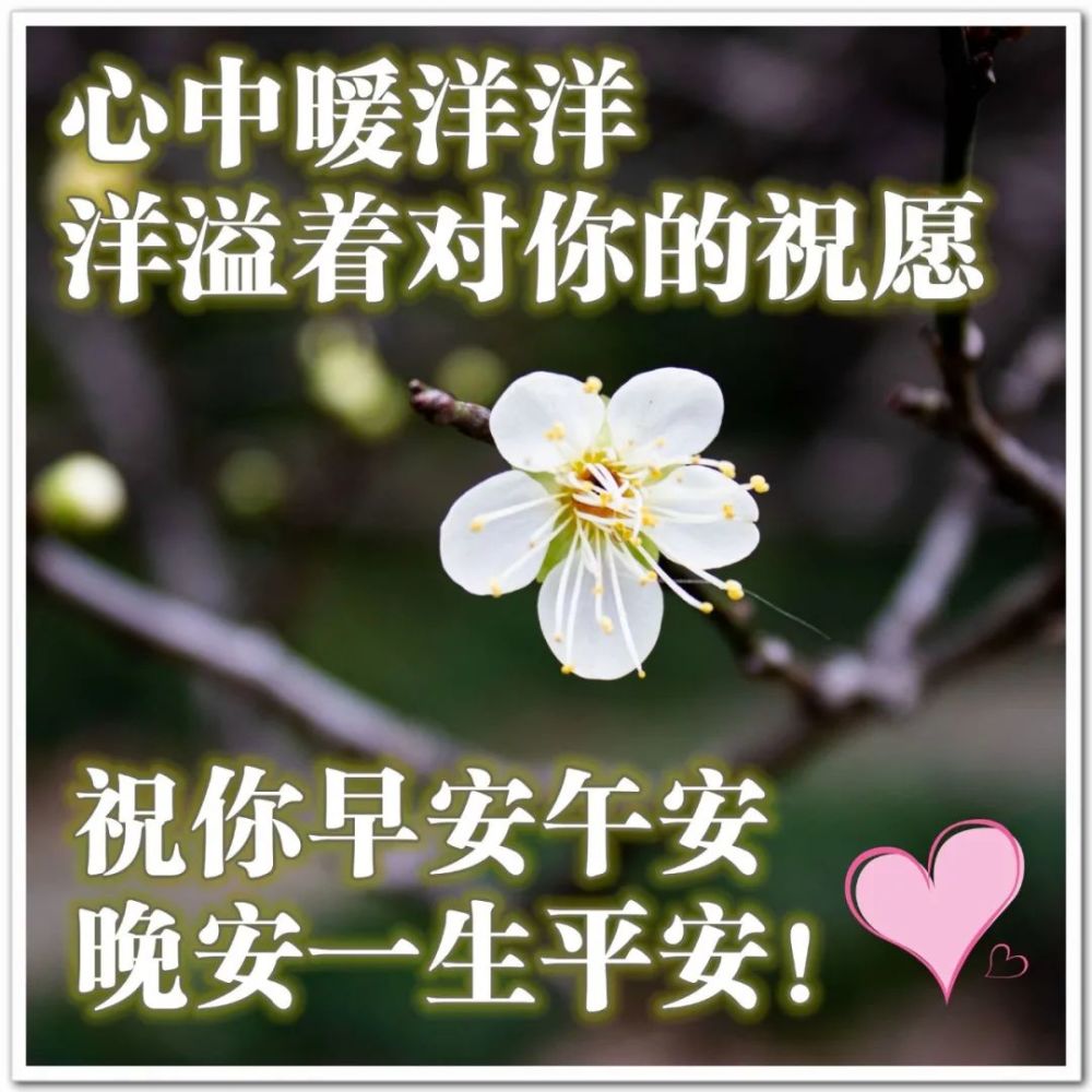 2022年1月26早上好問候祝福動態表情圖片最新早安問候語動態圖片表情