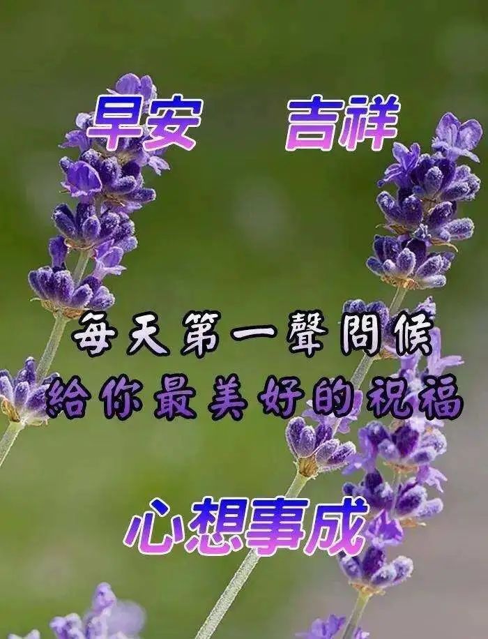 難得糊塗,糊塗難得.開心快樂的過好每一天,每一年.祝戰友們早安愉快!