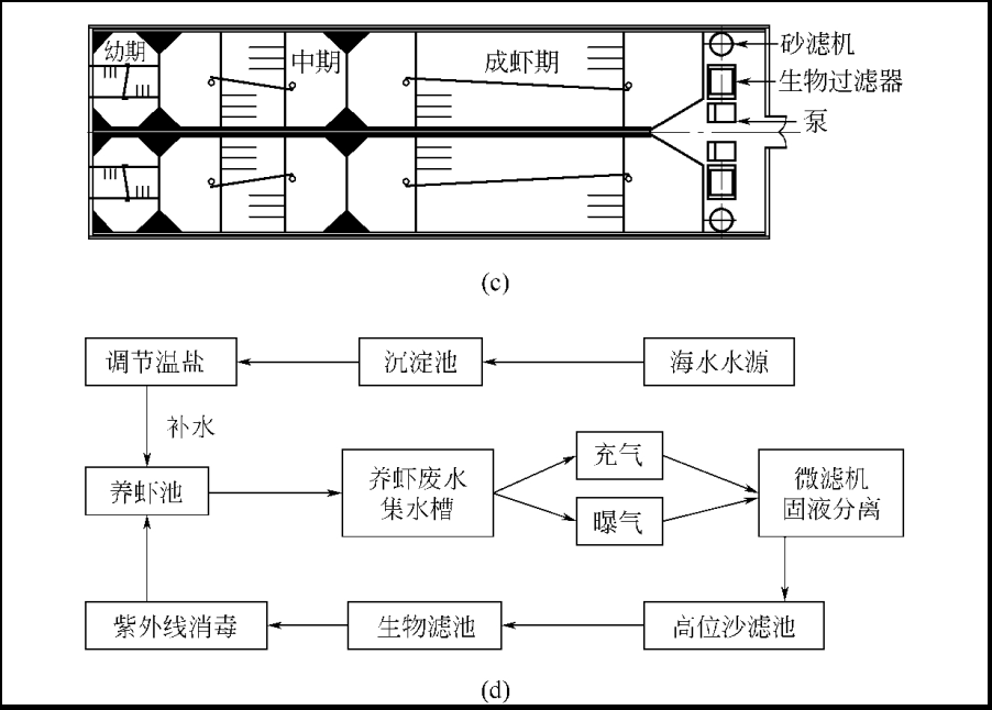 循环水养殖技术 循环水养殖技术视频