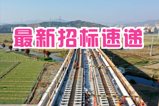 89亿甬台温高速公路乐清段增设柳市互通项目招标