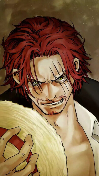 巴基和香克斯的关系杠杠的