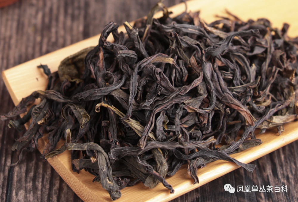 凤凰单丛茶贡香单丛