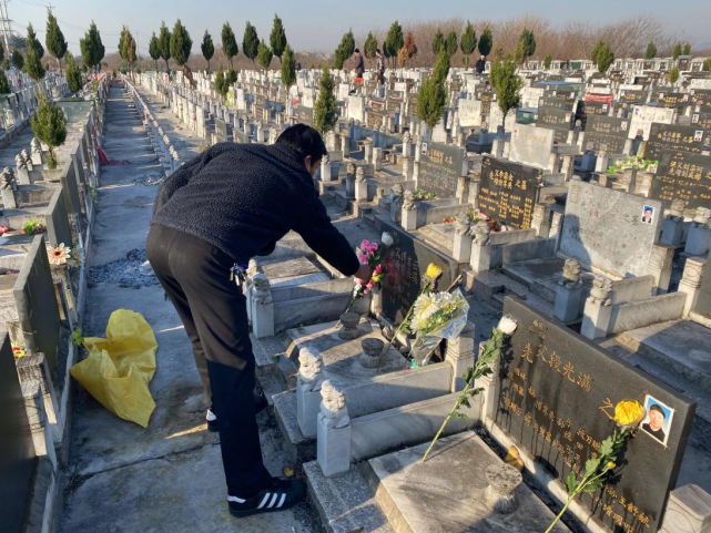 生态安葬"宣传活动|卧龙山|公墓|湖熟街道|南京|江宁区