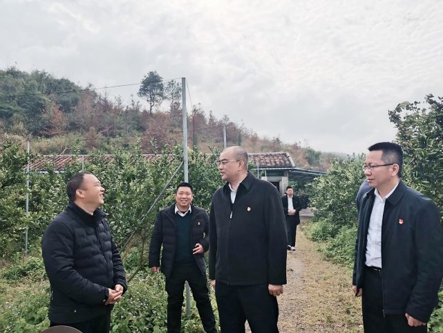 兩江鎮凰落村,白石鎮,黃圃鎮,慶雲鎮,三溪鎮廟灣廣場,秀水鎮嶺富貢柑