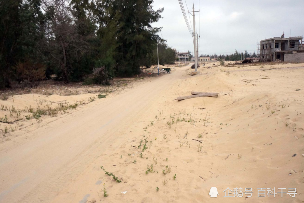 海南岛西部为何会形成大面积的沙地