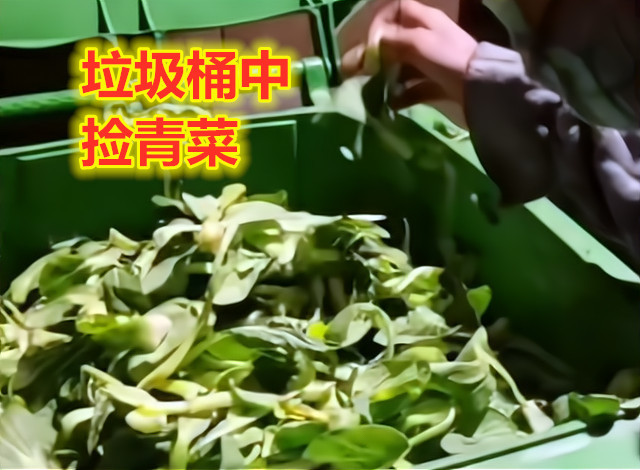 女子深夜背着婴儿垃圾桶捡剩菜,婴儿饿了大哭,她还有个4岁女儿_腾讯