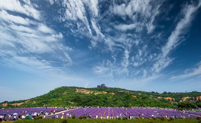 雪浪山掀起美丽大浪