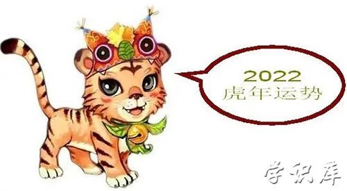 今年是什么生肖年呀