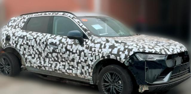 长城wey首款mpv谍照曝光 预计2022年4月上市