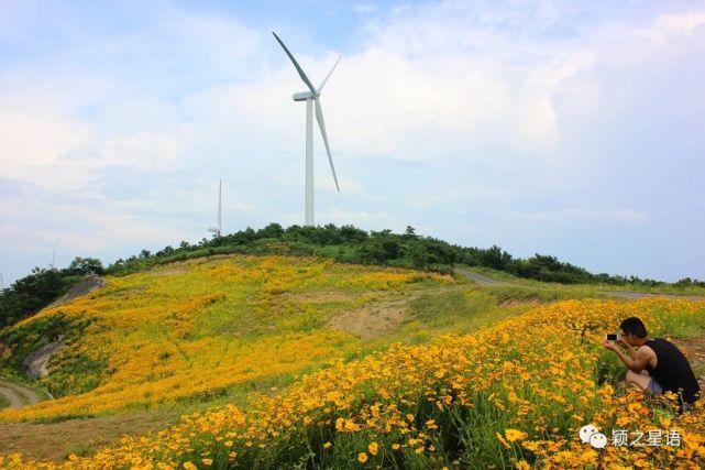 象山县则最为特别,白岩山多达六处,分布在涂茨,茅洋,新桥,墙头,泗洲头