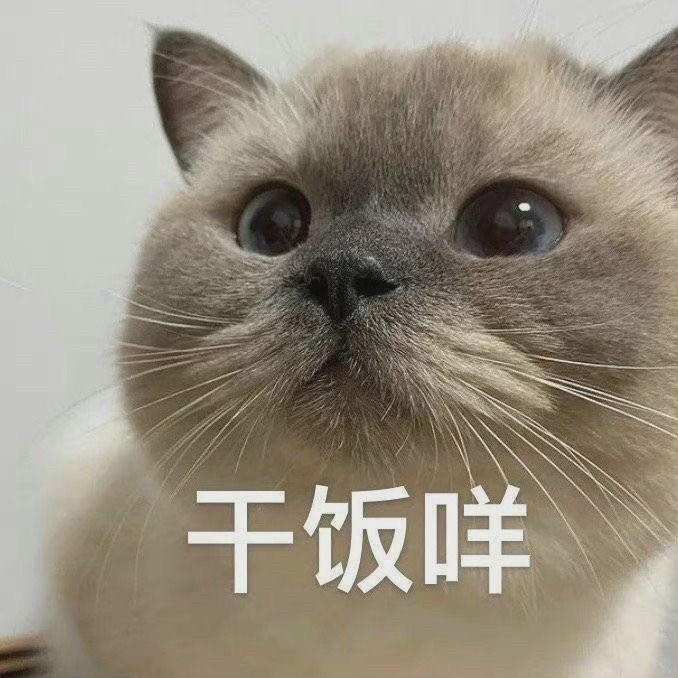 猫猫干饭表情包您好我是来应聘干饭王哒