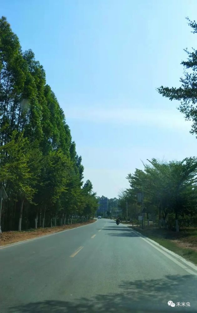 卢信允,高州市镇江镇人,陆军少将.安徽省军区副司令员.