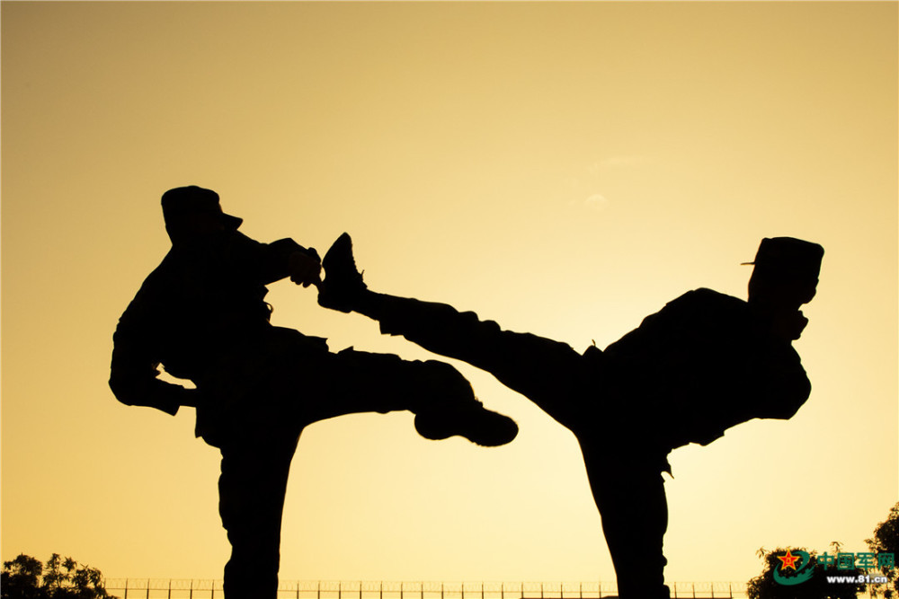 一组高颜值剪影定格武警官兵训练场上最美身姿