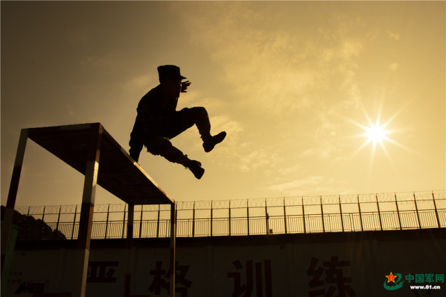 一组高颜值剪影定格武警官兵训练场上最美身姿