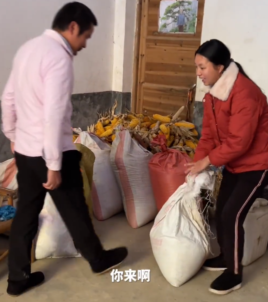 牛爱芳晒视频满崽帮小春花晒稻谷险被推到网友果然是租的