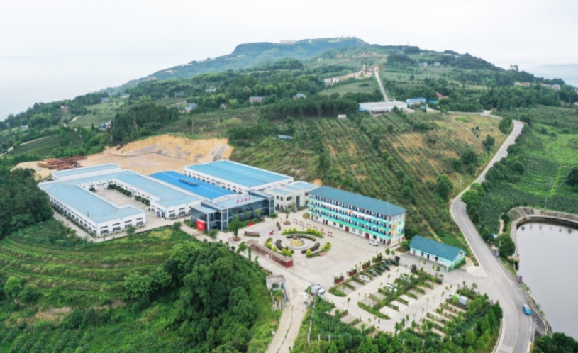 凝聚巾帼科创之力永川区举行川南渝西融合发展巾帼科创项目对接会