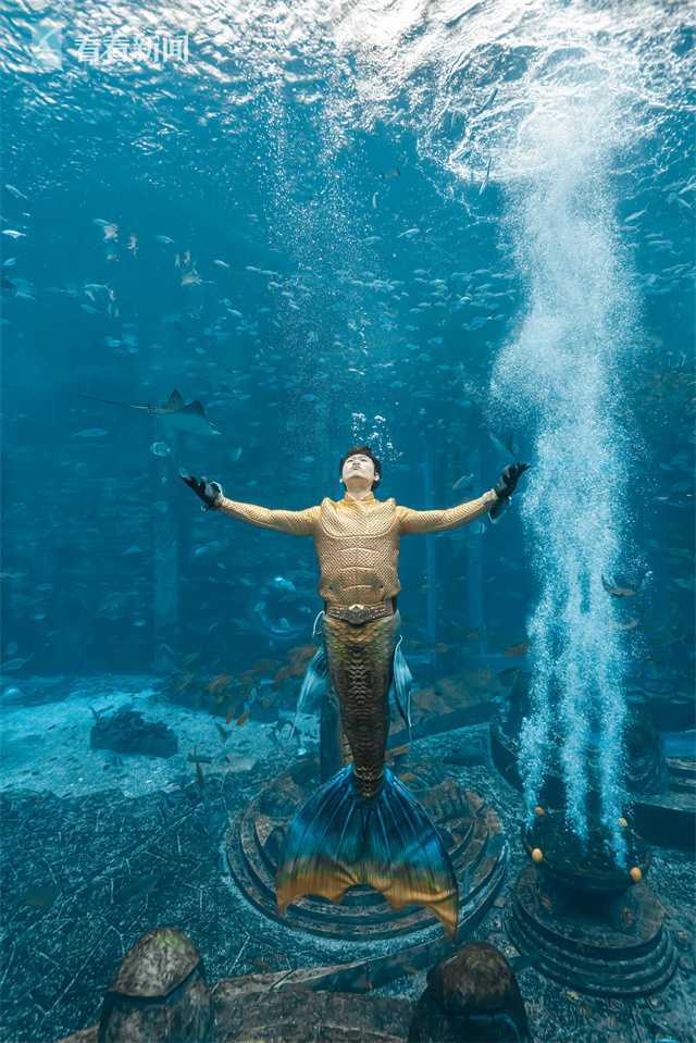 首届中国美人鱼表演赛落幕男版美人鱼夺双料冠军