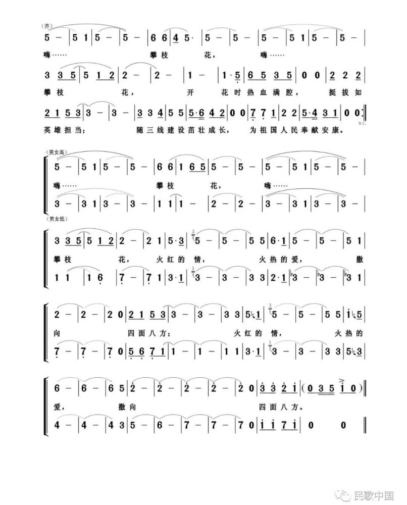 载歌载舞大受欢迎的广场舞合唱曲燃情攀枝花洋溢着自信与欢乐民歌中国