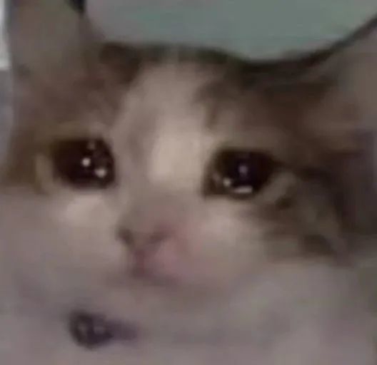 表情包 | 哭泣猫