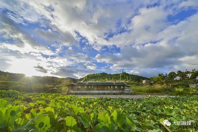 建寧楓元休閒賞花旅遊區建寧楓元休閒賞花旅遊區位於建寧縣溪口鎮楓元