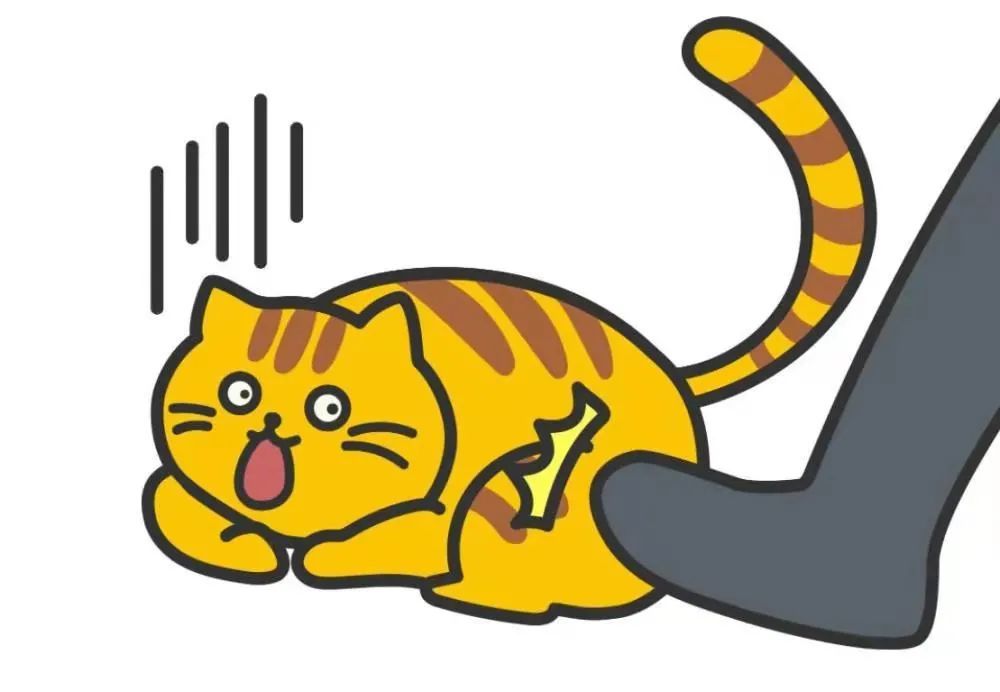 认识自己的错误,学会控制和适当发泄自己的情绪,不然产生"踢猫效应"