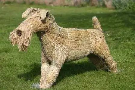 刍:为牲畜的草,刍狗,就是草扎成的狗,如下图.圣人不仁,以百姓为刍狗.