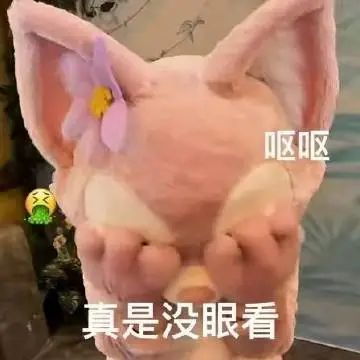 表情包:真是没眼看