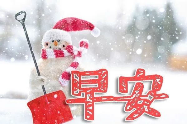 冬季暖心早安问候带字带鲜花美图聊天免打字的早上好祝福文案精选