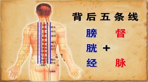 背薄一寸病退九成教你几个减背绝招