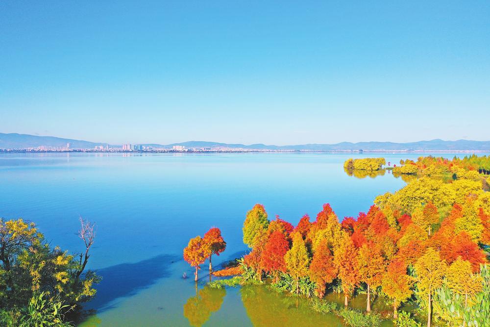 江川星云湖图片图片