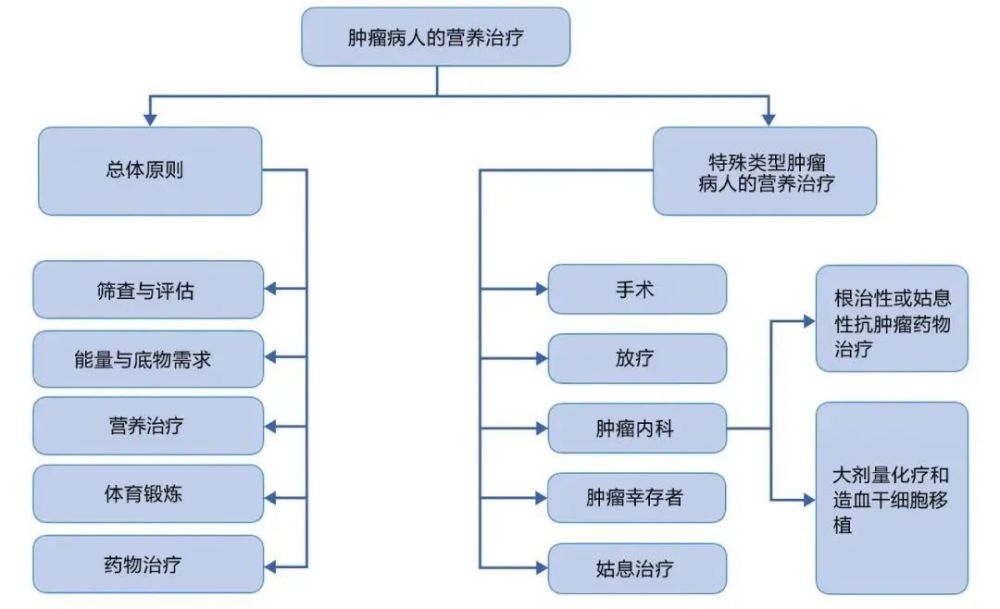 歐洲臨床營養與代謝協會腫瘤病人營養治療實踐指南解讀