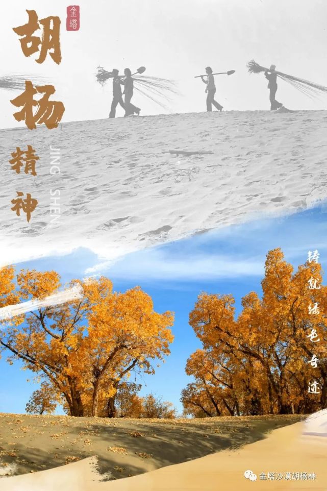 【微海报】传承胡杨精神 誓让戈壁变绿