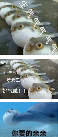 又见河豚鱼食物中毒!3人食用后1人死亡