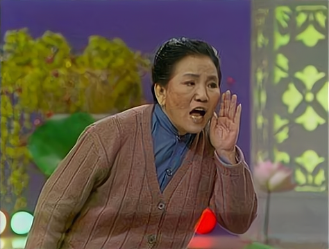 两句台词帮国家抓住境外间谍,赵丽蓉的小品到底有多深入人心?