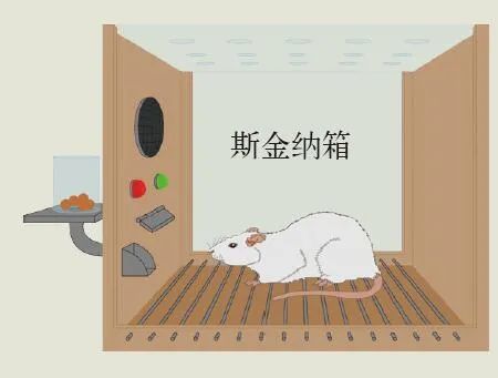 抽盲盒抽到走火入魔真的值得吗