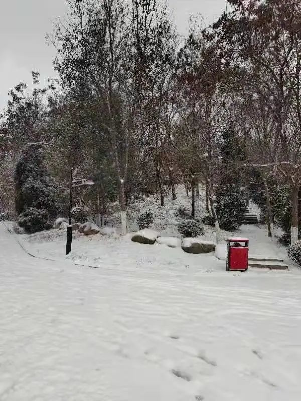 石家庄大雪到货一夜之间朋友圈一片白茫茫部分公交停运雨雪大风降温