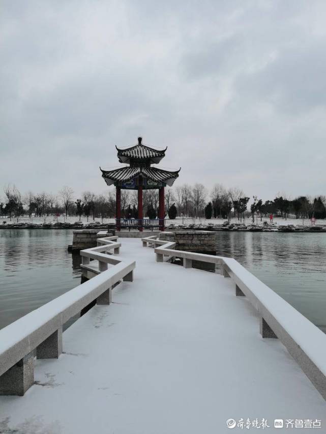 聊城雪景图片