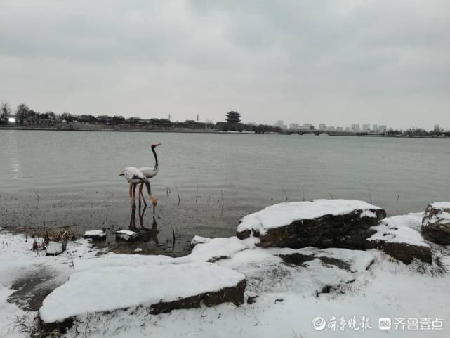 12月24日,聊城迎來降雪,很多市民到東昌湖邊賞雪,將令人驚喜的雪景與 