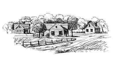 在希望的田野上