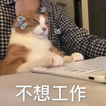 隔空投送表情