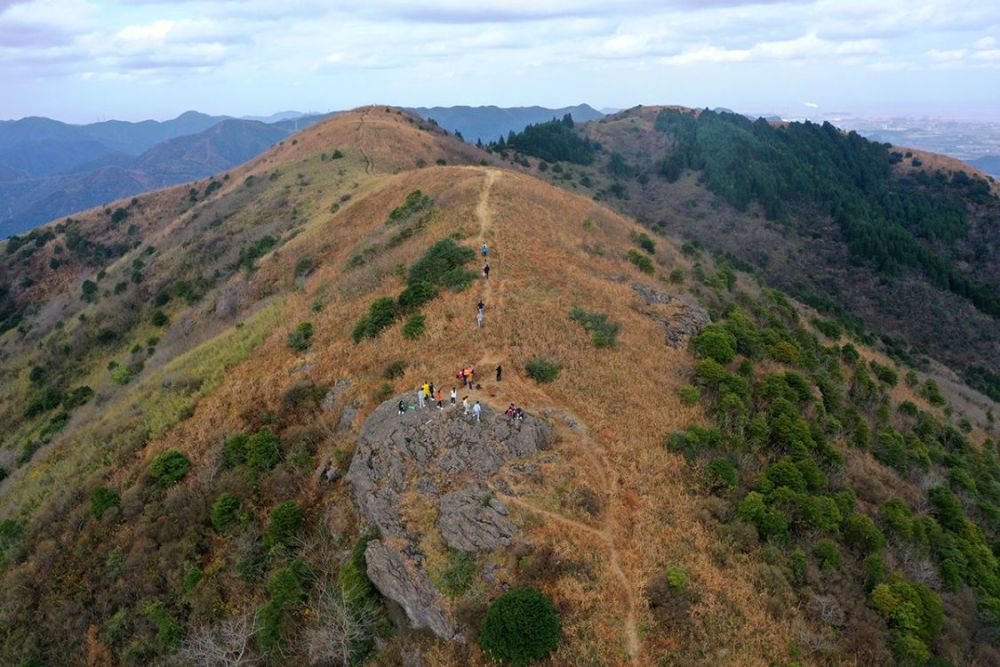 虎山岩地砖图片