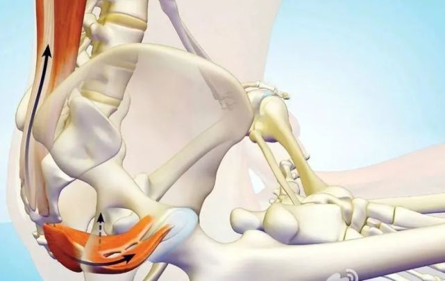 名医名科推拿门诊告诉您骶髂关节炎的中医特色治疗