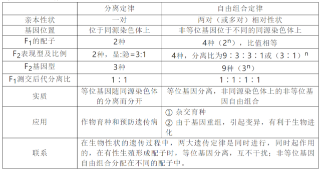 5,基因分離定律與自由組合定律的關係(3)核心內容:等位基因分離,非