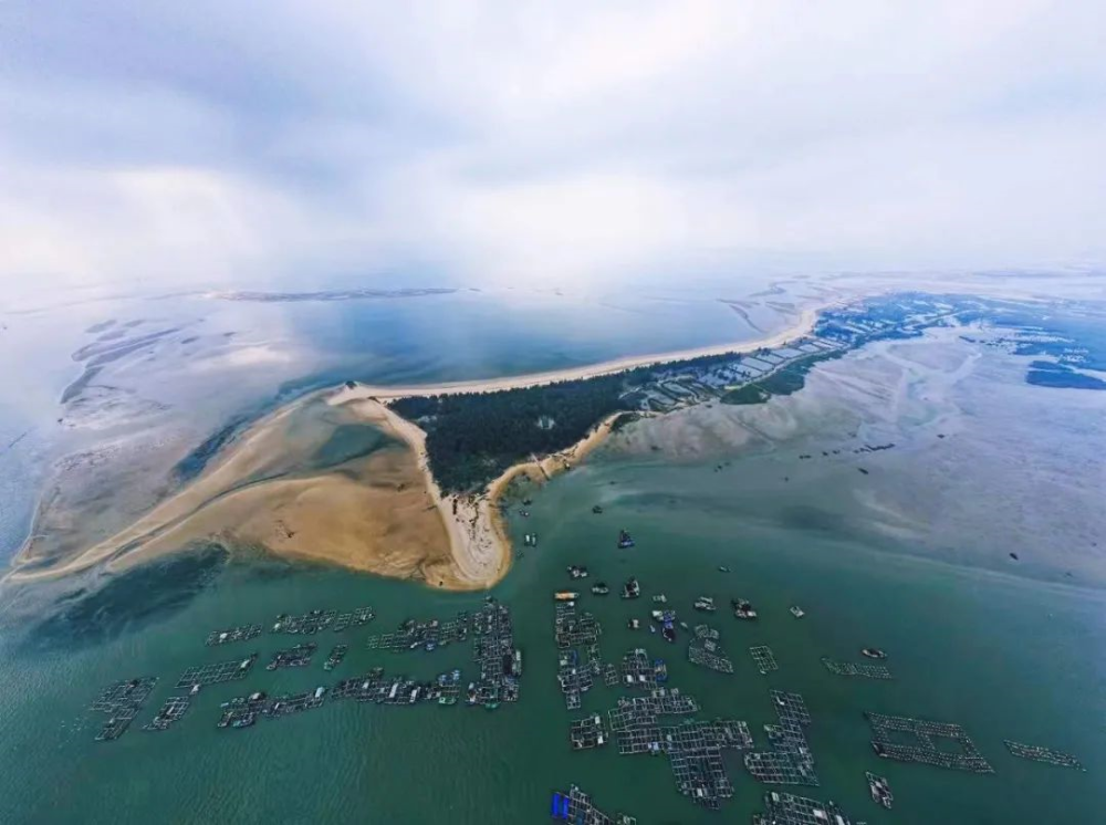 市委网信办到雷州企水镇开展乡村振兴驻镇帮镇扶村活动