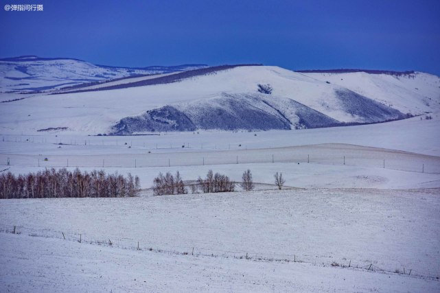 呼伦贝尔零下40度的自驾之旅过雪原看驯马南方游客冷到无助